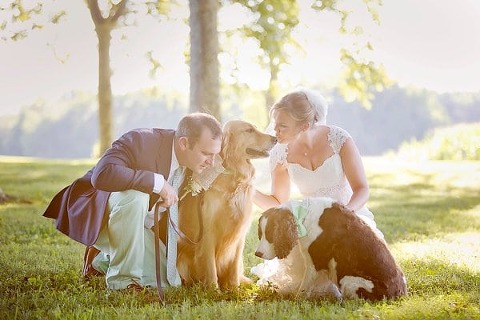 Wedding Dogs || Lemon and lime event design || Charm City Wed || www.charmcitywed.com