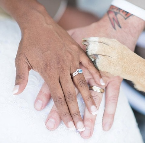 Wedding Dogs || Photography by Tracie || Charm City Wed || www.charmcitywed.com