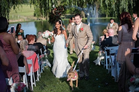 Wedding Dogs || Photography by Tracie || Charm City Wed || www.charmcitywed.com