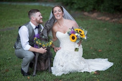Wedding Dogs || Anne Casey Photography || Charm City Wed || www.charmcitywed.com