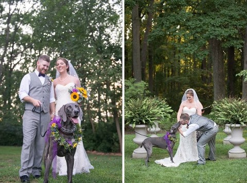Wedding Dogs || Anne Casey Photography || Charm City Wed || www.charmcitywed.com
