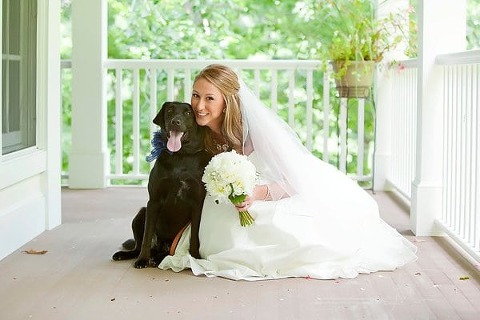 Wedding Dogs || Dunks Photo || Charm City Wed || www.charmcitywed.com