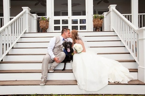 Wedding Dogs || Dunks Photo || Charm City Wed || www.charmcitywed.com