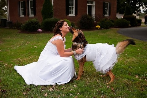 Wedding Dogs || Dunks Photo || Charm City Wed || www.charmcitywed.com