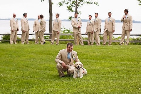 Wedding Dogs || Dunks Photo || Charm City Wed || www.charmcitywed.com
