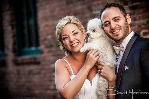 Wedding Dogs || David Hartcorn Photography || Charm City Wed || www.charmcitywed.com