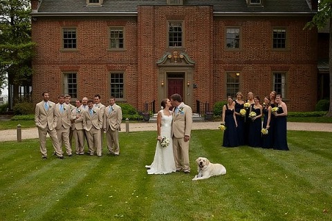 Wedding Dogs || Dunks Photo || Charm City Wed || www.charmcitywed.com