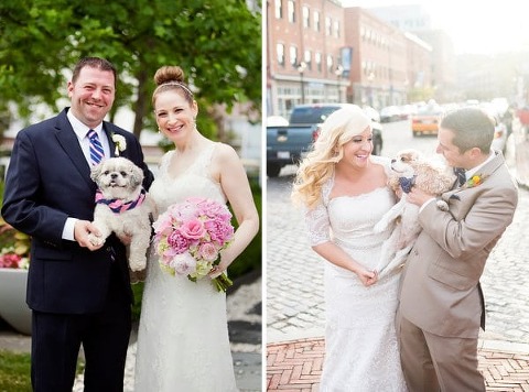 Wedding Dogs || Dunks Photo || Brooke Tyson Photography || Charm City Wed || www.charmcitywed.com