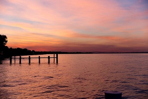 Celebrations at the Bay Wedding || Stacey Lee Photography || Charm City Wed || www.charmcitywed.com
