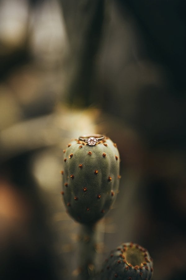 Rawlings Conservatory Engagement || Paula Bartosiewicz Photography || Charm City Wed || www.charmcitywed.com Rawlings Conservatory Engagement || Paula Bartosiewicz Photography || Charm City Wed || www.charmcitywed.com