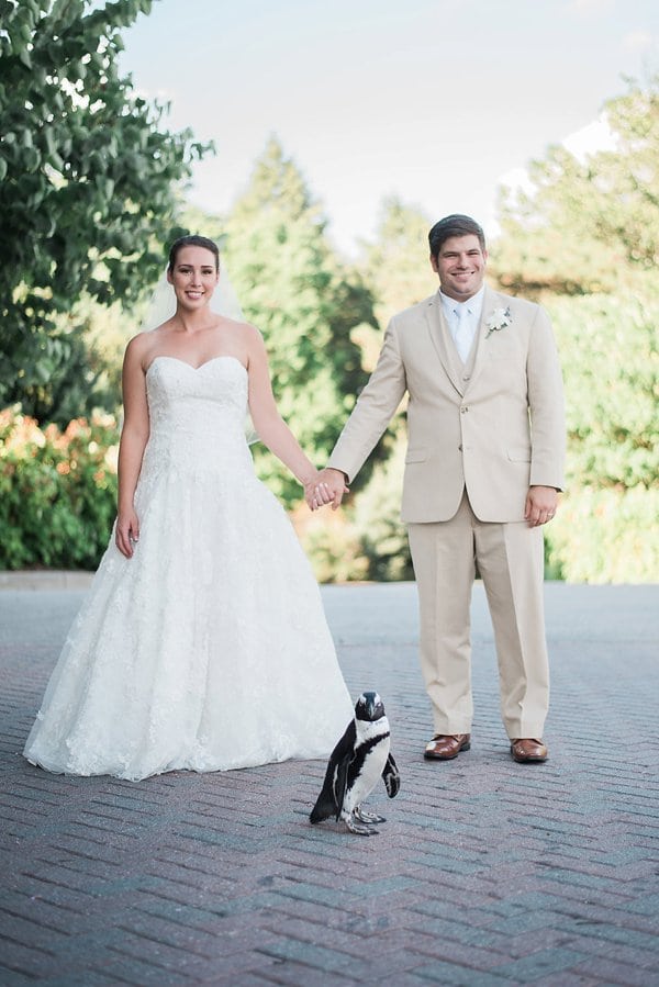 Maryland Zoo Wedding || Meghan Elizabeth Photography || Charm City Wed || www.charmcitywed.com