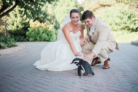 Maryland Zoo Wedding || Meghan Elizabeth Photography || Charm City Wed || www.charmcitywed.com