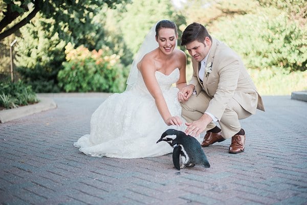 Maryland Zoo Wedding || Meghan Elizabeth Photography || Charm City Wed || www.charmcitywed.com
