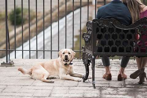 Lake Roland Engagement || Anne Casey Photography || Charm City Wed || www.charmcitywed.com