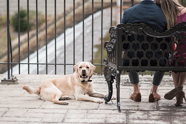 Lake Roland Engagement || Anne Casey Photography || Charm City Wed || www.charmcitywed.com