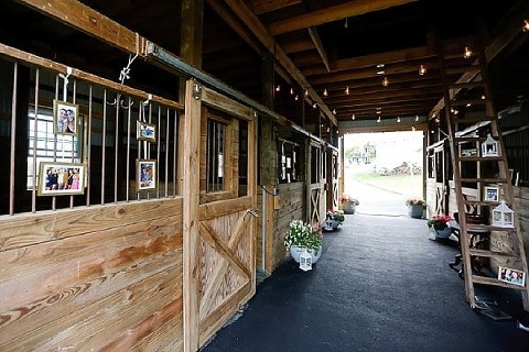 Beautiful Backyard Wedding || Be Photography || Charm City Wed || www.charmcitywed.com