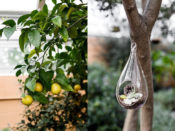 Rawlings Conservatory Wedding Vow Renewal || Kirsten Smith Photography || Charm City Wed || www.charmcitywed.com