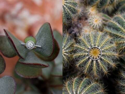 Rawlings Conservatory Wedding Vow Renewal || Kirsten Smith Photography || Charm City Wed || www.charmcitywed.com