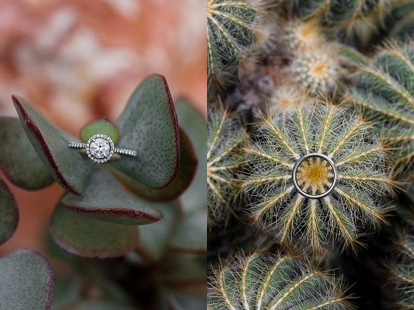 Rawlings Conservatory Wedding Vow Renewal || Kirsten Smith Photography || Charm City Wed || www.charmcitywed.com