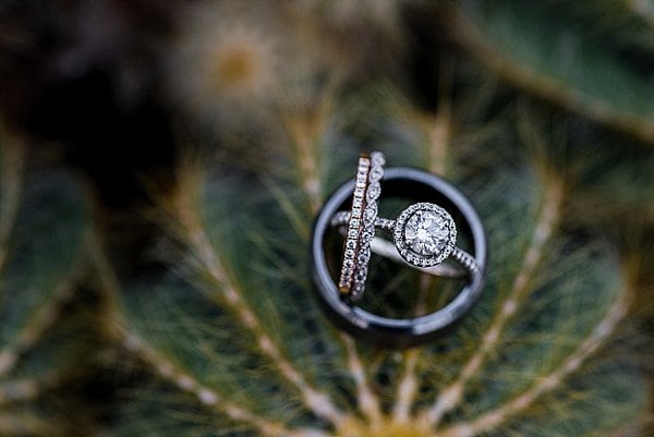 Rawlings Conservatory Wedding Vow Renewal || Kirsten Smith Photography || Charm City Wed || www.charmcitywed.com