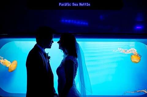 National Aquarium Wedding || Rachel Smith Photography || Charm City Wed || www.charmcitywed.com