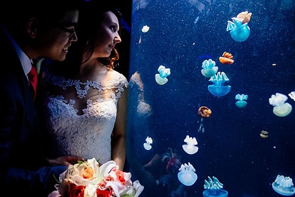 National Aquarium Wedding || Rachel Smith Photography || Charm City Wed || www.charmcitywed.com National Aquarium Wedding || Rachel Smith Photography || Charm City Wed || www.charmcitywed.com