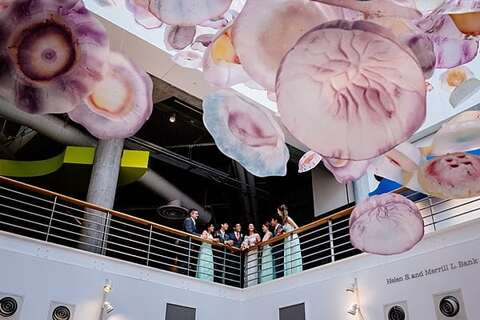 National Aquarium Wedding || Rachel Smith Photography || Charm City Wed || www.charmcitywed.com