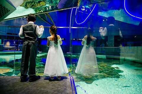 National Aquarium Wedding || Rachel Smith Photography || Charm City Wed || www.charmcitywed.com