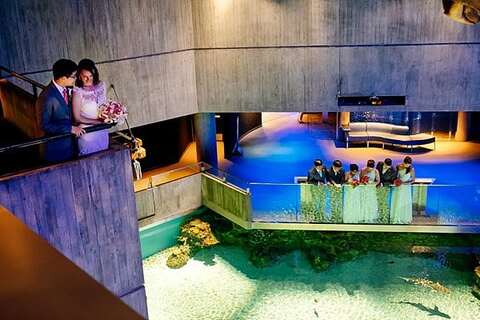 National Aquarium Wedding || Rachel Smith Photography || Charm City Wed || www.charmcitywed.com