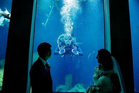 National Aquarium Wedding || Rachel Smith Photography || Charm City Wed || www.charmcitywed.com
