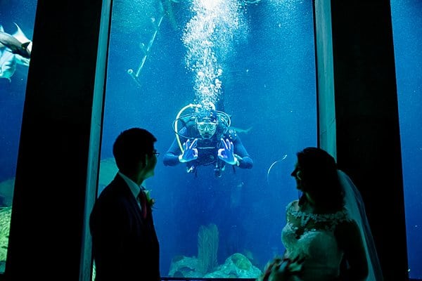 National Aquarium Wedding || Rachel Smith Photography || Charm City Wed || www.charmcitywed.com National Aquarium Wedding || Rachel Smith Photography || Charm City Wed || www.charmcitywed.com
