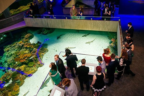 National Aquarium Wedding || Rachel Smith Photography || Charm City Wed || www.charmcitywed.com National Aquarium Wedding || Rachel Smith Photography || Charm City Wed || www.charmcitywed.com