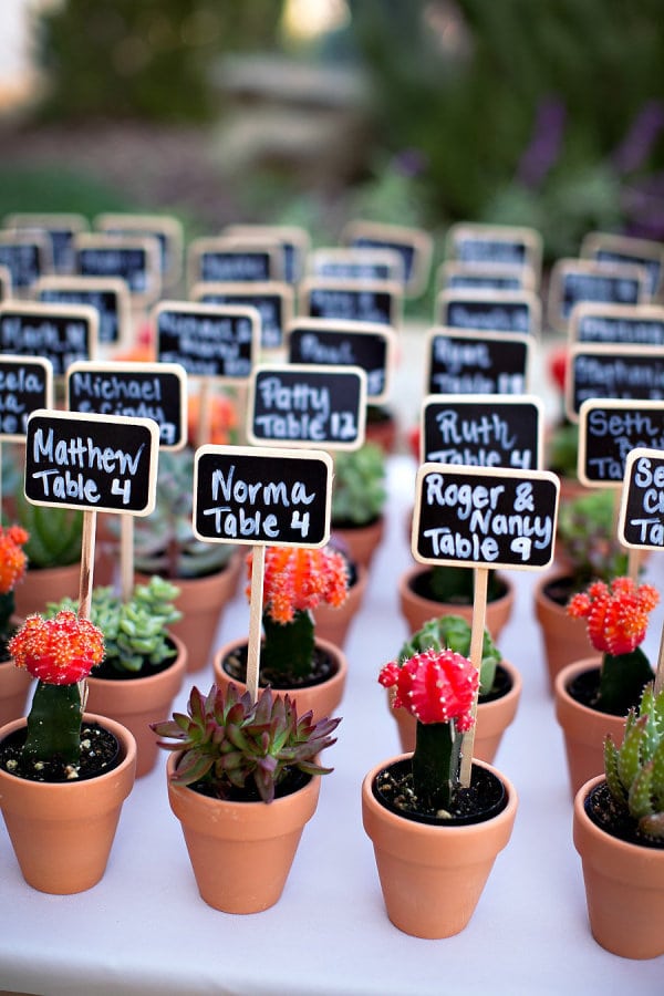 Ashleigh Taylor Photography l Charm Sity Wed l Potted Plant Seating Assignment