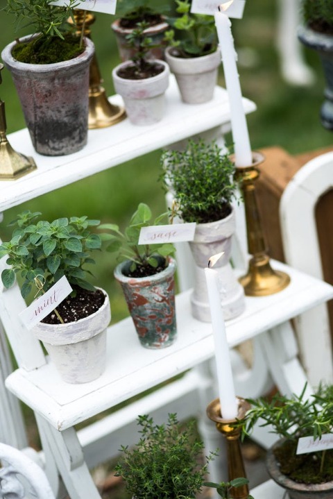Kimberly Dean Photography l Charm City Wed l Potted Herb Favors