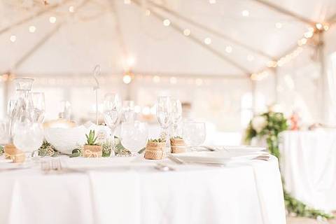 IrvineNatureCenterWedding||KaitBaileyPhotography||CharmCityWed