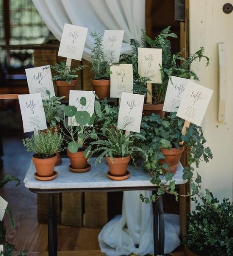 Katie Slater Photography l Charm City Wed l Potted Plant Table Assignment