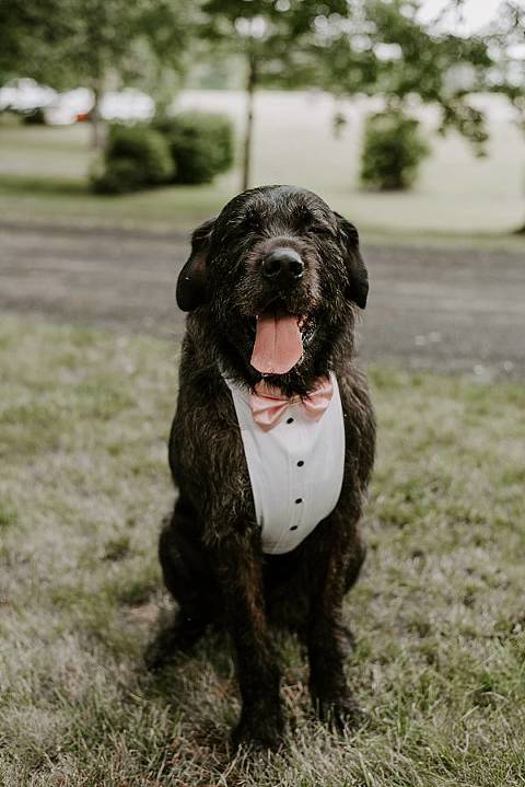 Outdoor Estate Baltimore Wedding || Coral Dove Photography || Charm City Wed
