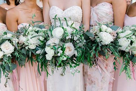 Nikki Schell Photography - Washington DC & Destination Wedding Photographer,